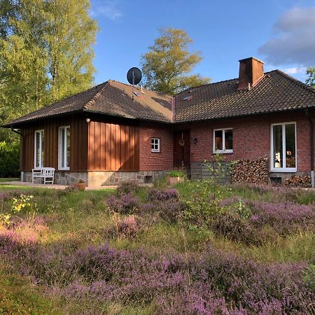 Landhaus Mitten In Der Lueneburger Heide Undeloh Ngoại thất bức ảnh
