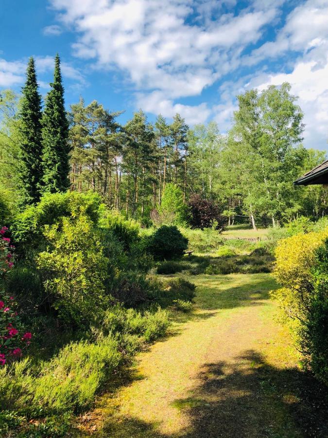 Landhaus Mitten In Der Lueneburger Heide Undeloh Ngoại thất bức ảnh