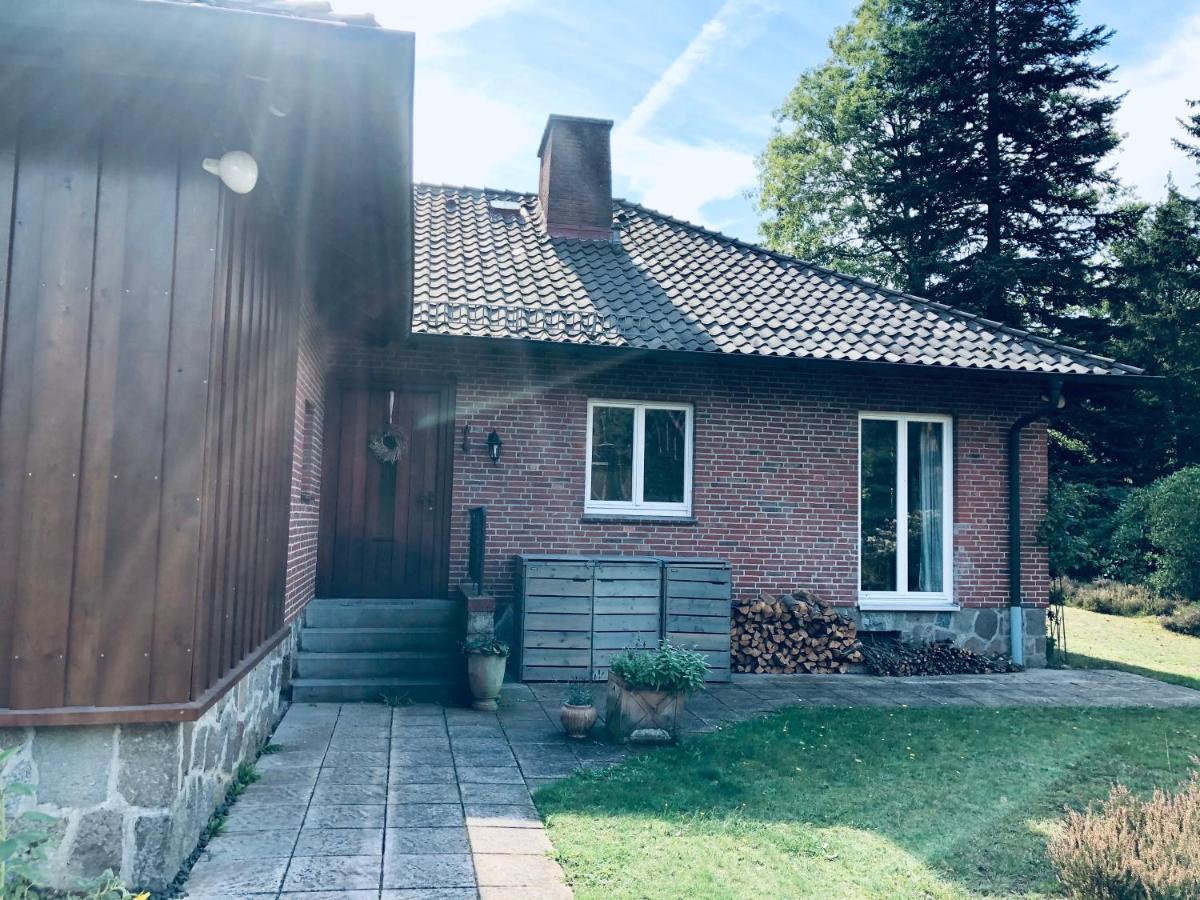 Landhaus Mitten In Der Lueneburger Heide Undeloh Ngoại thất bức ảnh