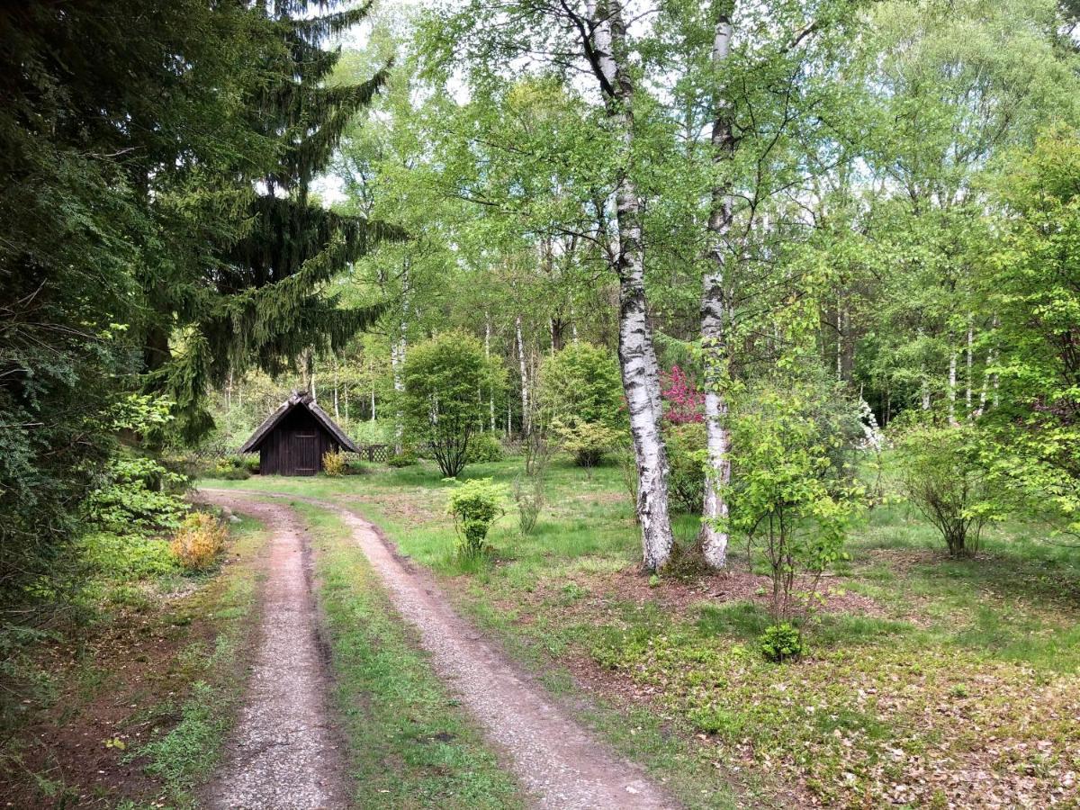 Landhaus Mitten In Der Lueneburger Heide Undeloh Ngoại thất bức ảnh