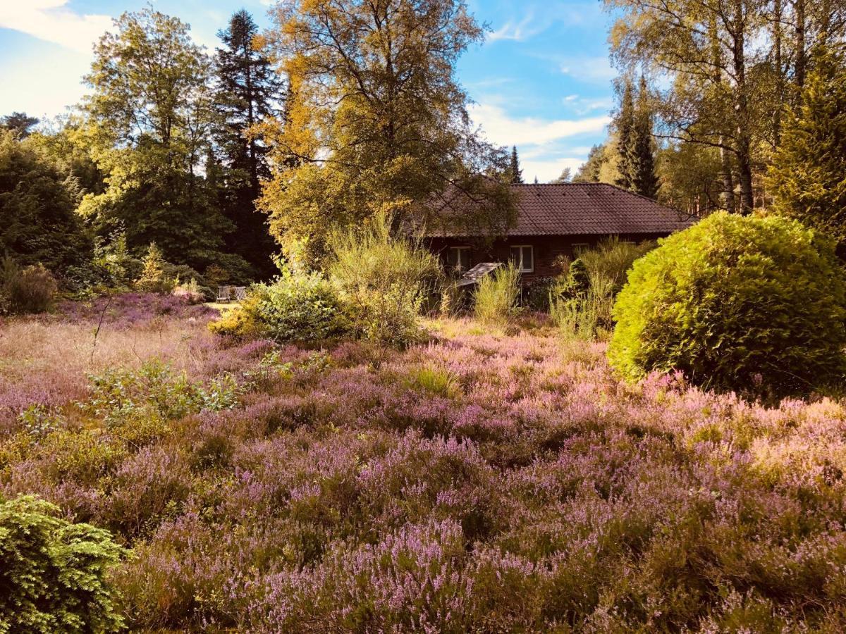 Landhaus Mitten In Der Lueneburger Heide Undeloh Ngoại thất bức ảnh