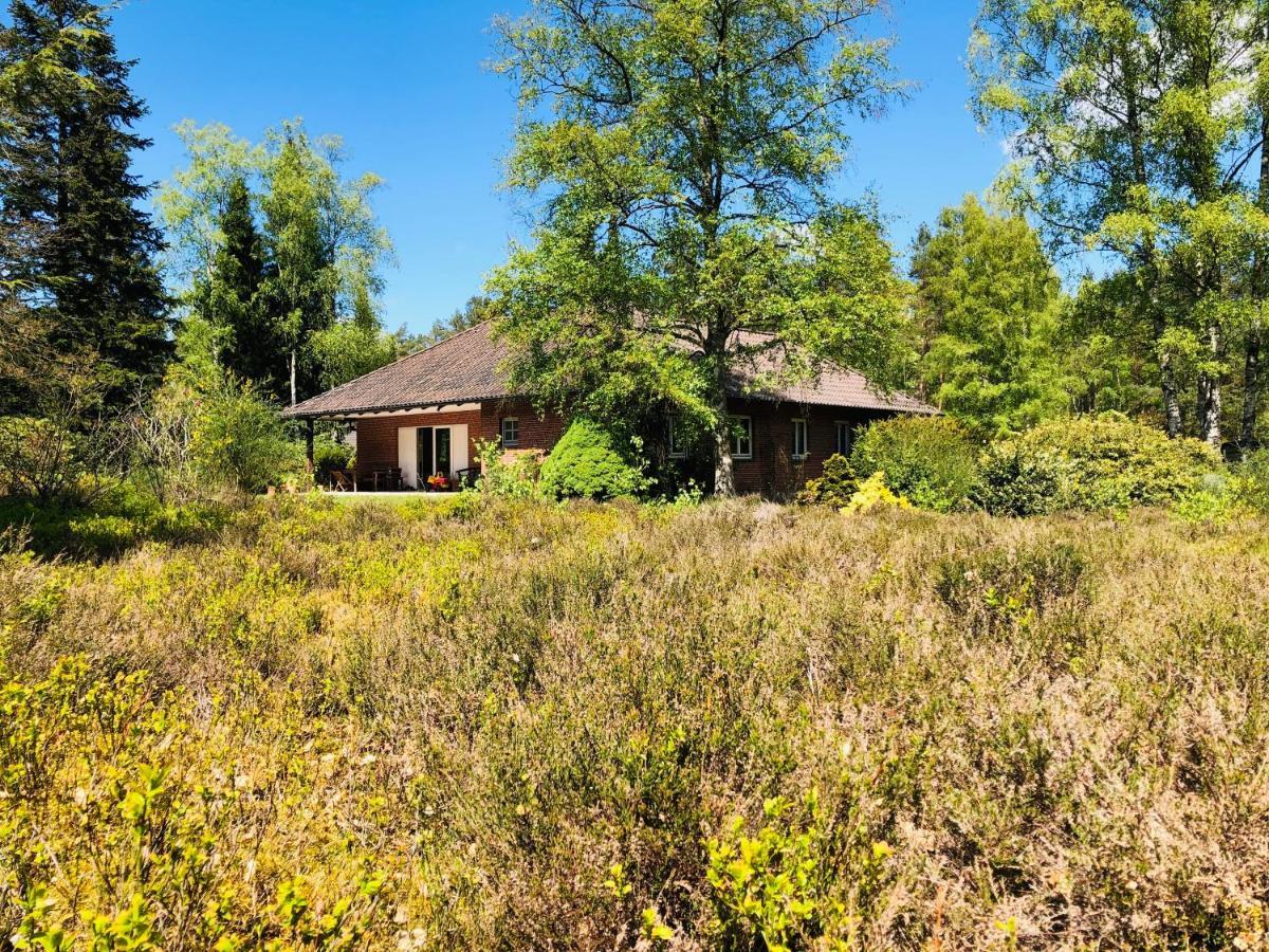 Landhaus Mitten In Der Lueneburger Heide Undeloh Ngoại thất bức ảnh