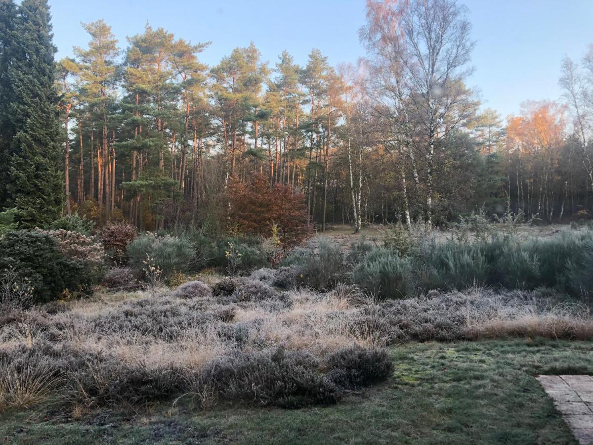 Landhaus Mitten In Der Lueneburger Heide Undeloh Ngoại thất bức ảnh