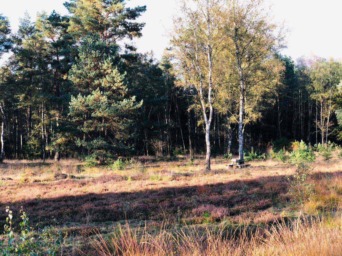 Landhaus Mitten In Der Lueneburger Heide Undeloh Ngoại thất bức ảnh